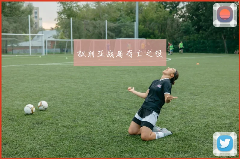 叙利亚战局存亡之役