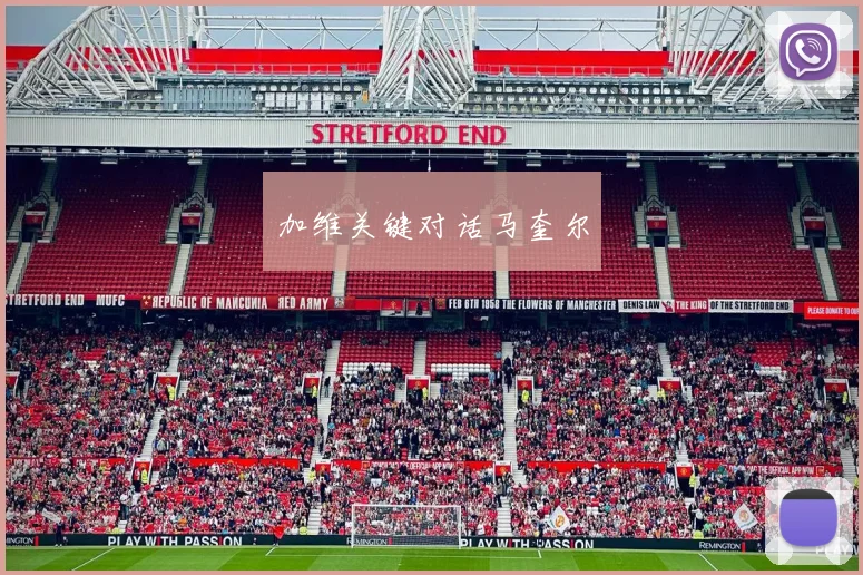 加维关键对话马奎尔