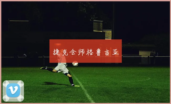 捷克会师格鲁吉亚