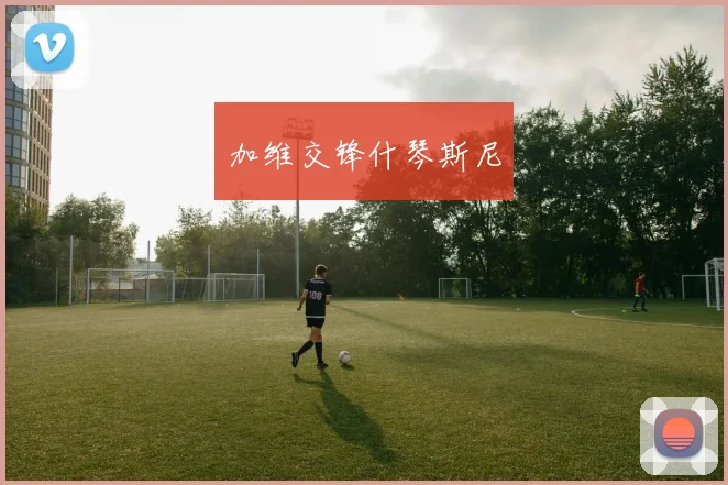 加维交锋什琴斯尼