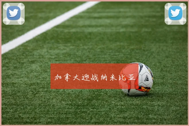 加拿大迎战纳米比亚