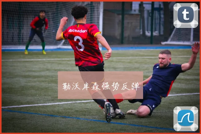 勒沃库森强势反弹