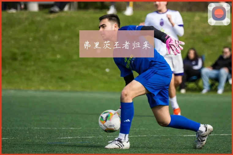 弗里茨王者归来